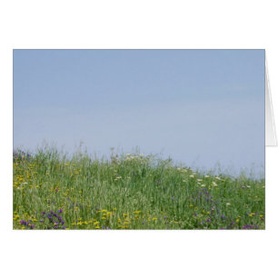 Tarjeta de prado de flores de verano