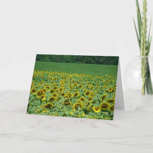 Tarjeta de prado de girasoles (Anverso)