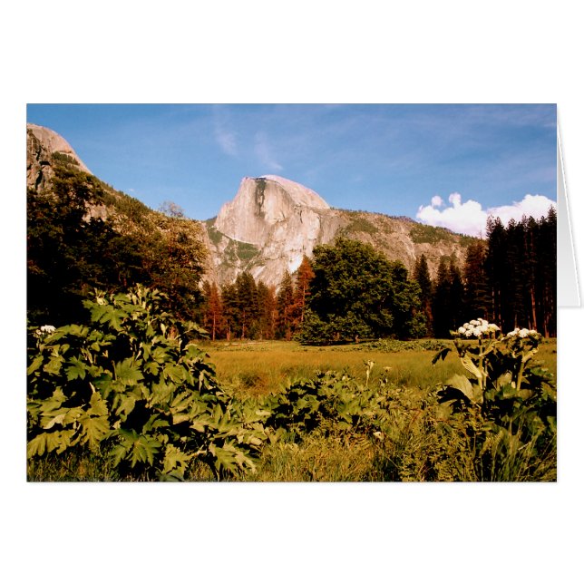 Tarjeta de prado del Parque Nacional Yosemite (Anverso (Horizontal))