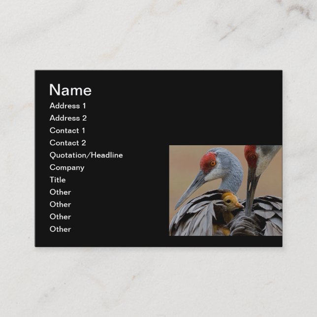 Tarjeta De Presentación Bebé Sandhill con la mamá (Anverso)