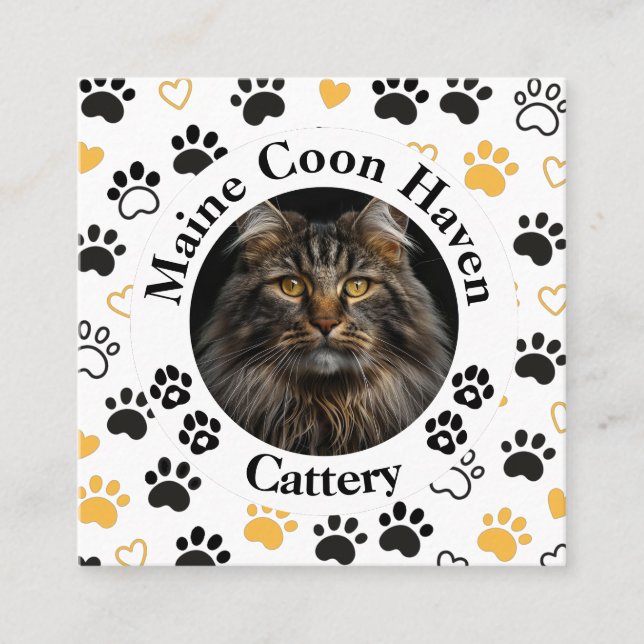 Tarjeta De Presentación Custom Maine Coon Cattery Square Business Card  (Anverso)