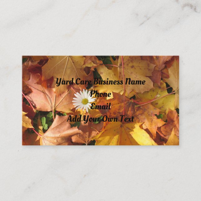 Tarjeta De Presentación Daisy In Leaves Business Card (Anverso)