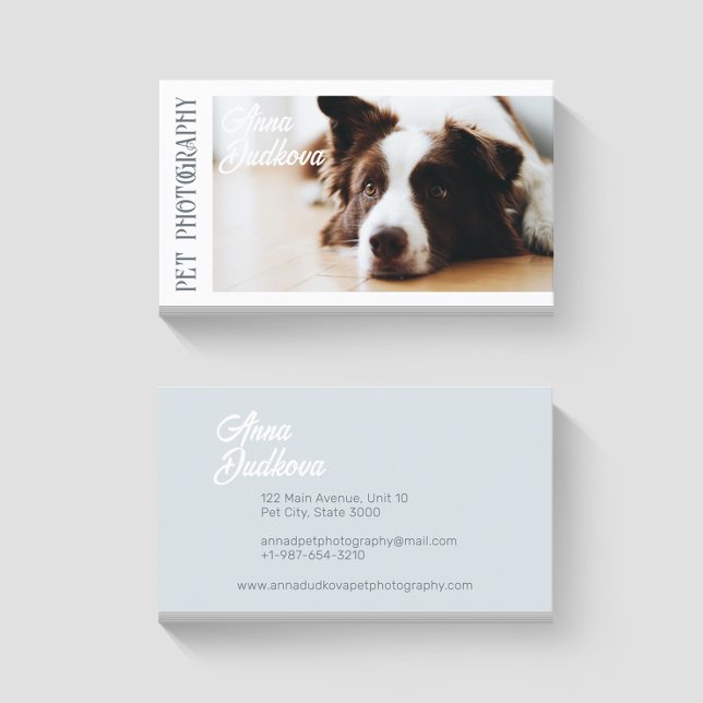 Tarjeta de presentación de fotografía Mascota de b (Subido por el creador)