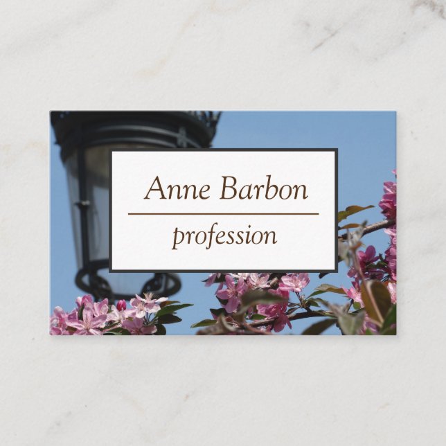 Tarjeta de presentación de fotografías de primaver (Anverso)