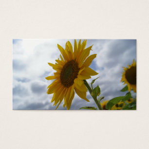 Tarjeta de presentación de Gloria de Girasol