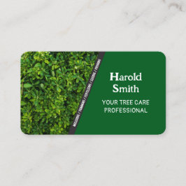 Tarjeta de presentación de Lawn Care