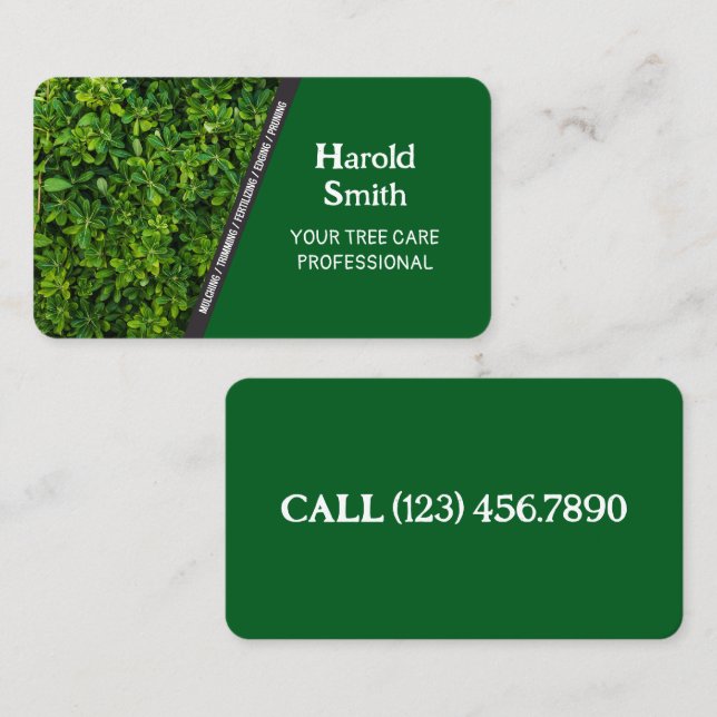 Tarjeta de presentación de Lawn Care (Anverso / Reverso)