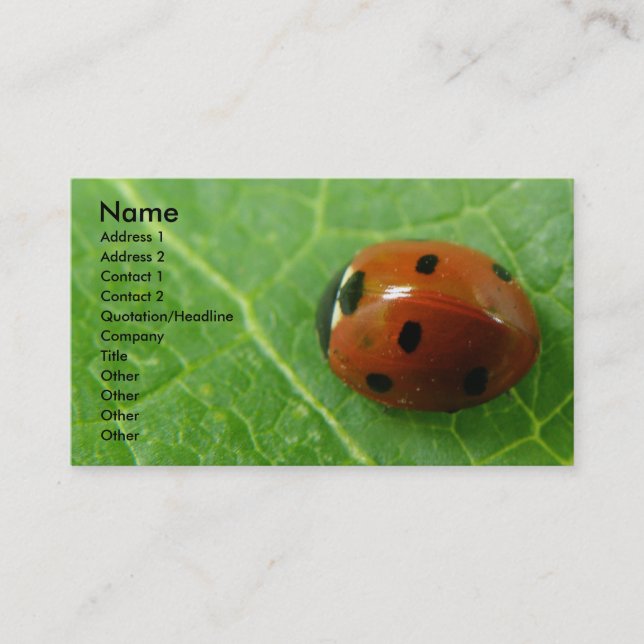 Tarjeta de presentación de Personalizable Ladybug (Anverso)