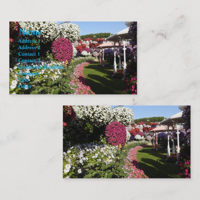Tarjeta de presentación de Petunias (Anverso / Reverso)