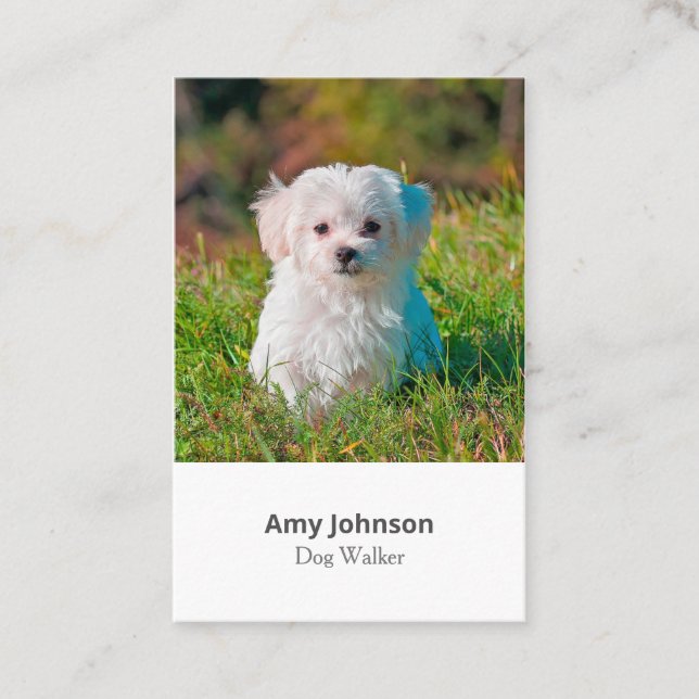 Tarjeta de presentación de Photo Dog Walker (Anverso)