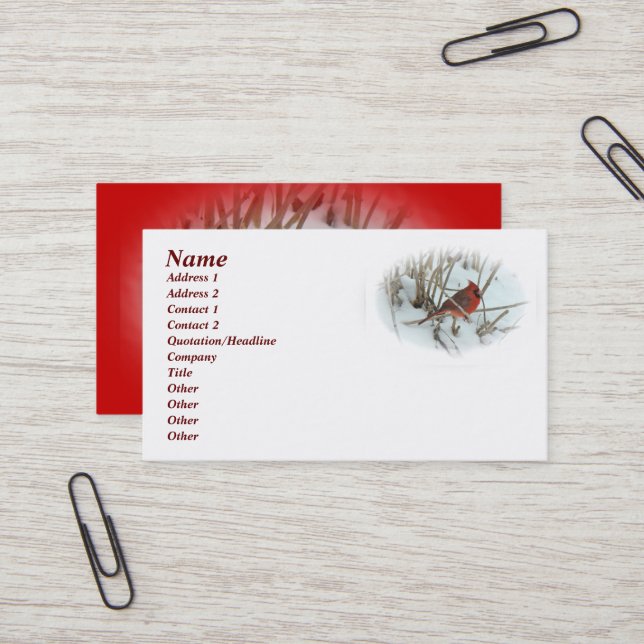 Tarjeta de presentación del Cardenal Oriental Song (Anverso/Reverso In Situ)