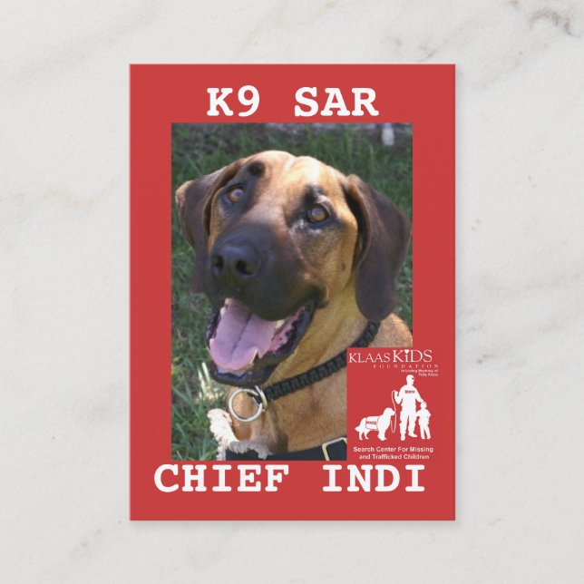 Tarjeta De Presentación el cabeza-jefe, equipo de la búsqueda de KlassKids (Anverso)