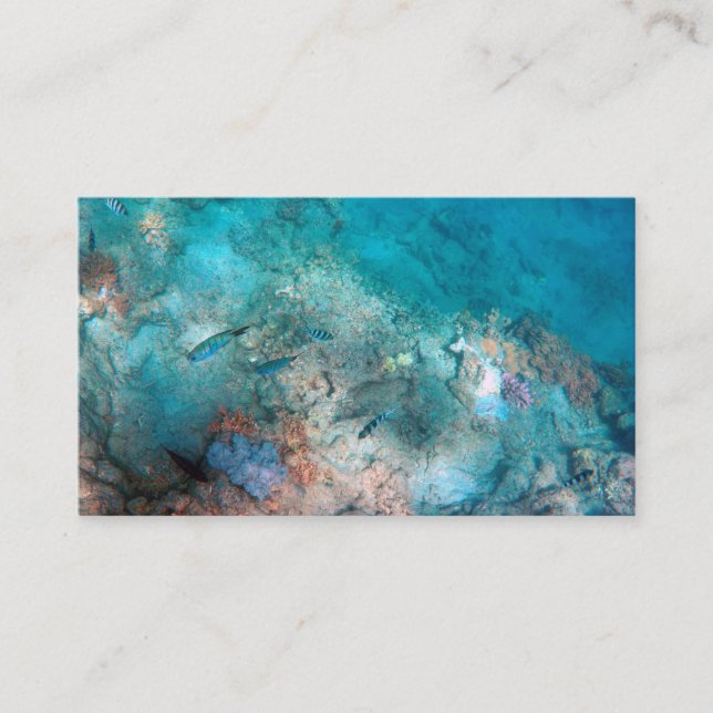 Tarjeta de presentación estándar de 3,5" x 2,0" (Anverso)