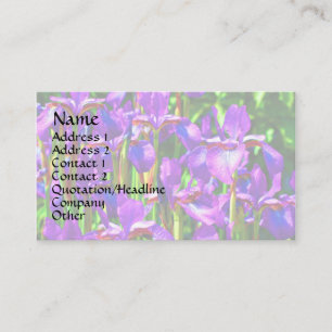 Tarjeta de presentación floral irises con barba mo