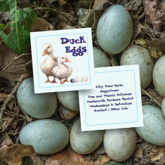 Tarjeta De Presentación Granja de Huevos Frescos de Patos Cuadrado Temátic