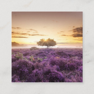 Tarjeta De Presentación Increíble amanecer de un solo árbol y morado