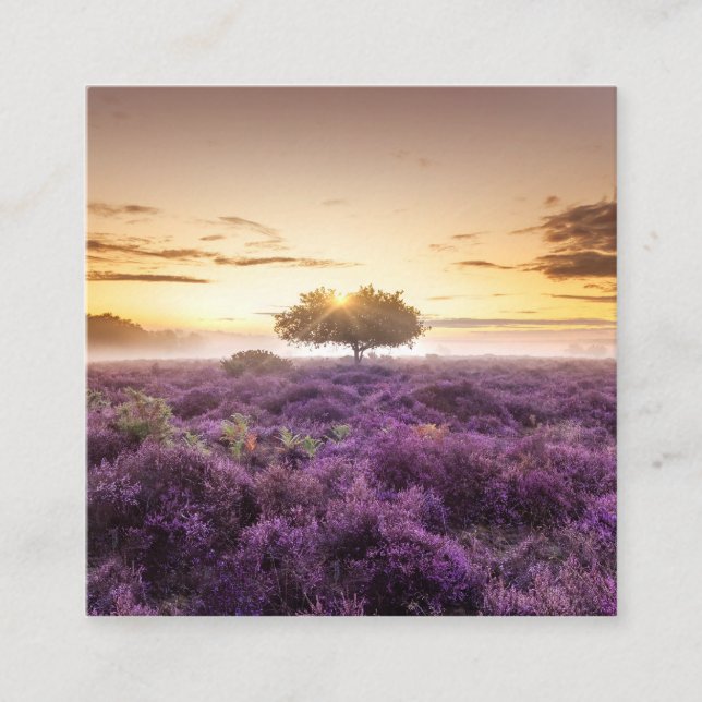 Tarjeta De Presentación Increíble amanecer de un solo árbol y morado (Anverso)