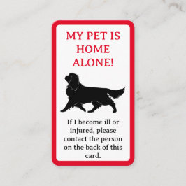 Tarjeta De Presentación Mi Mascota, perro está solo en casa