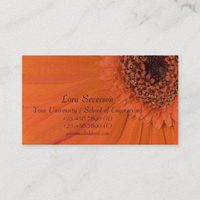 Tarjeta De Presentación Naranja Gerber Daisy Graduado (Anverso)