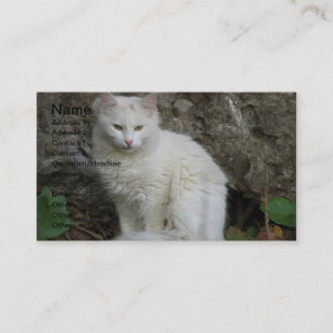 Tarjeta de presentación para gato blanco