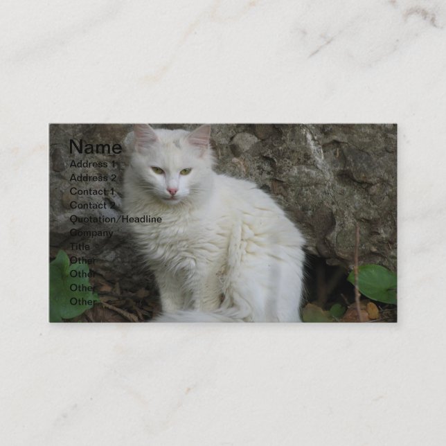 Tarjeta de presentación para gato blanco (Anverso)