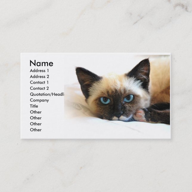 Tarjeta de presentación para gatos siamesa (Anverso)