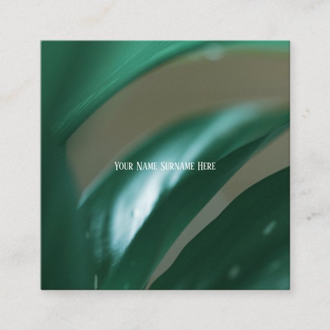 Tarjeta de presentación para la Naturaleza de la P (Anverso)