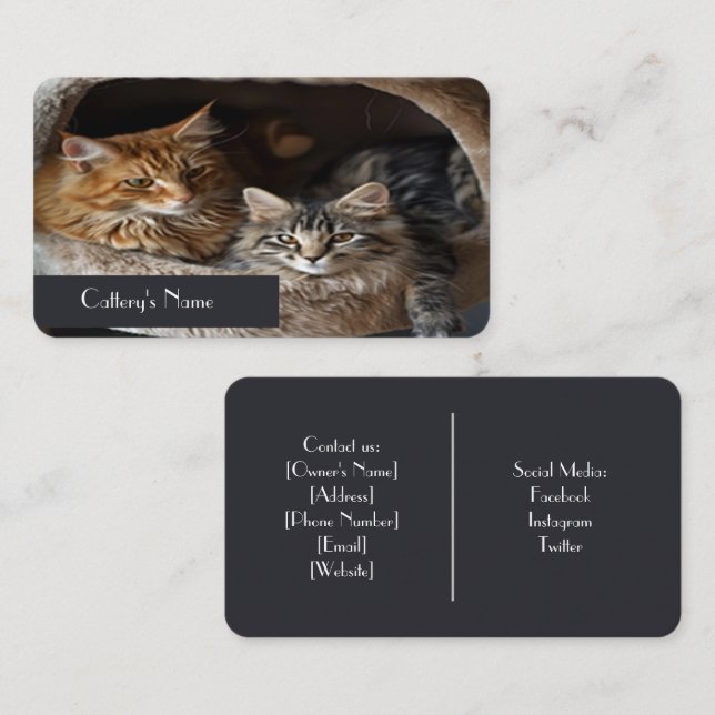 Tarjeta de presentación personalizada de Cattery (Anverso / Reverso)