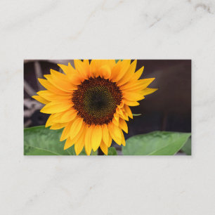 Tarjeta De Presentación Taza de dos tonos, 15 oz