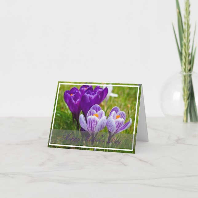 Tarjeta de primavera de crocus (Anverso)