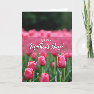 Tarjeta de primavera de tulipán con neblina rosa