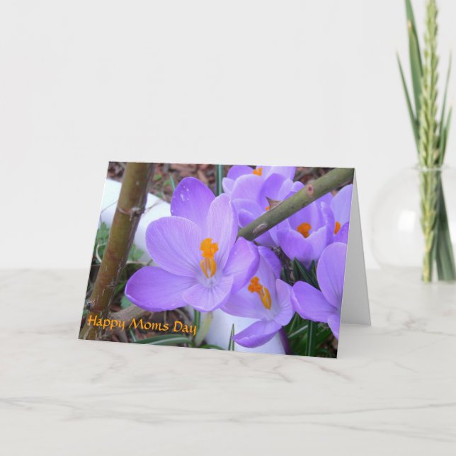 Tarjeta de Primavera del Día de la Madre (Anverso)