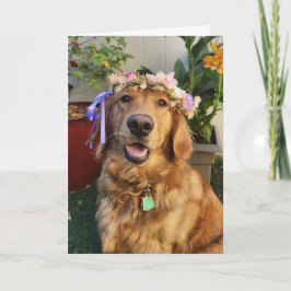 Tarjeta de primavera o diaria de Golden Retriever