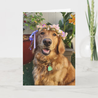 Tarjeta de primavera o diaria de Golden Retriever