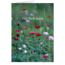 Tarjeta de Pronta Recuperación