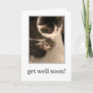 Tarjeta de Pronta Recuperación - Gato Amamantando 