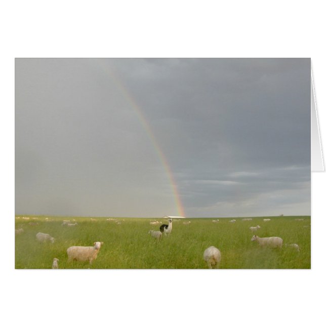 Tarjeta de protección de color (Anverso (Horizontal))