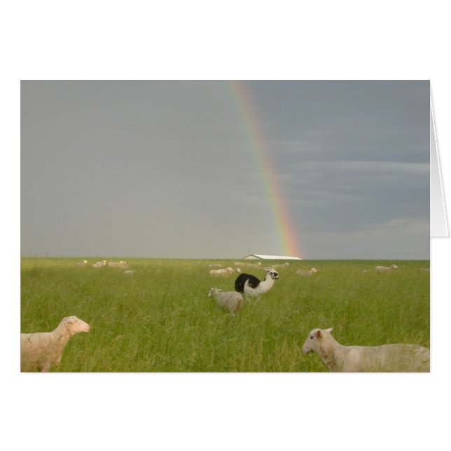 Tarjeta de protección de color 2 (Anverso (Horizontal))