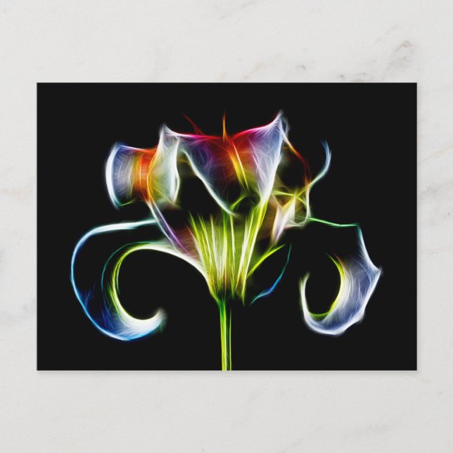 Tarjeta de prueba (Anverso)