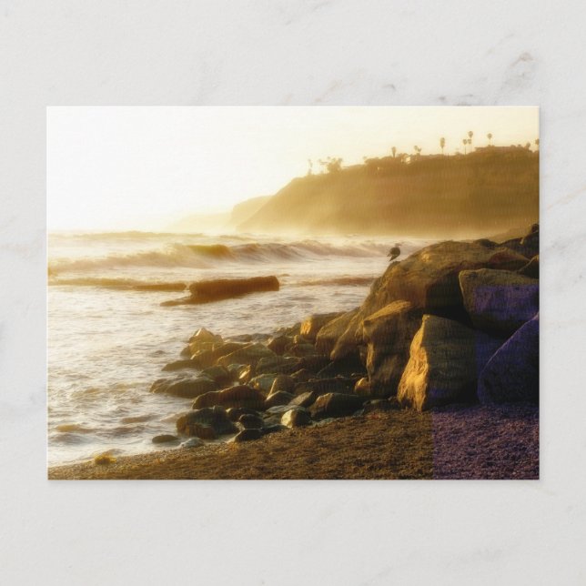 Tarjeta de prueba (Anverso)