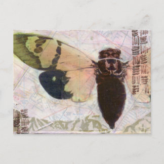 Tarjeta de publicación Cicada
