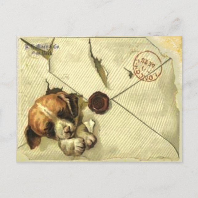 Tarjeta de publicación con papel de archivo de vin (Anverso)