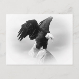 Tarjeta de publicación de águila