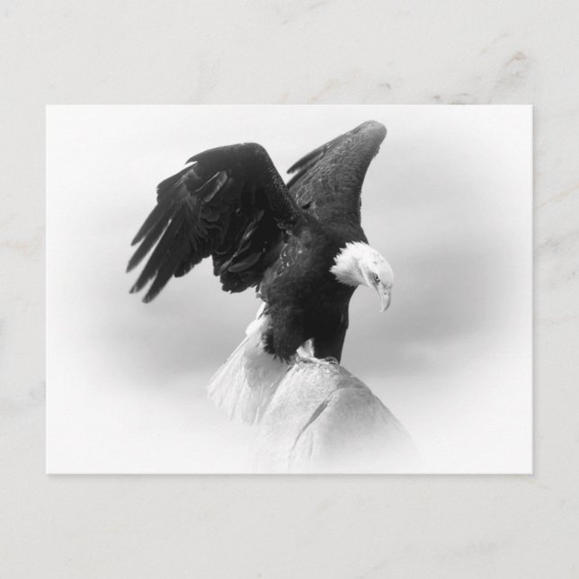 Tarjeta de publicación de águila (Anverso)