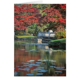 Tarjeta de puente de piedra