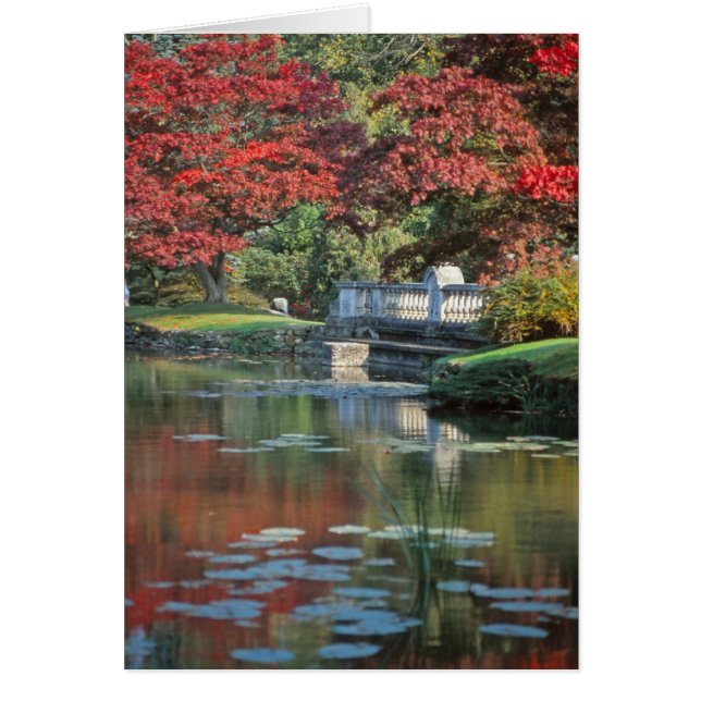 Tarjeta de puente de piedra (Frente)