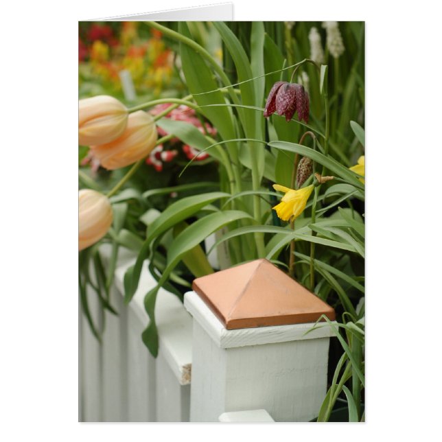 Tarjeta de puerta de flores (Frente)