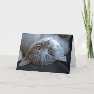 Tarjeta de Purrday de gato