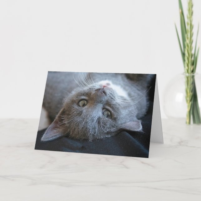 Tarjeta de Purrday de gato (Anverso)
