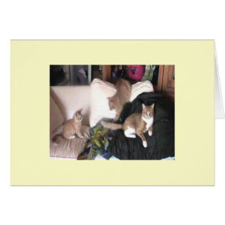 Tarjeta de Purrtrait de la familia